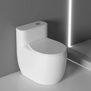 Bàn cầu liền khối cỡ nhỏ Carrie CR-89